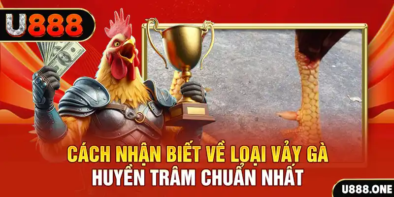 s66600 m Chú hề Patty tuổi teen