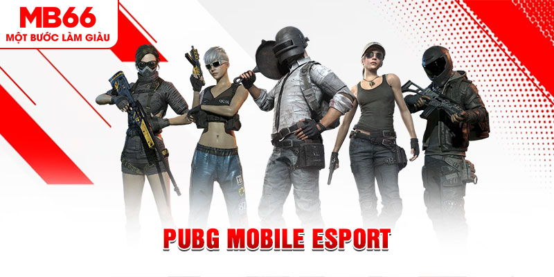 s66600 m gà chọi c1 mới nhất