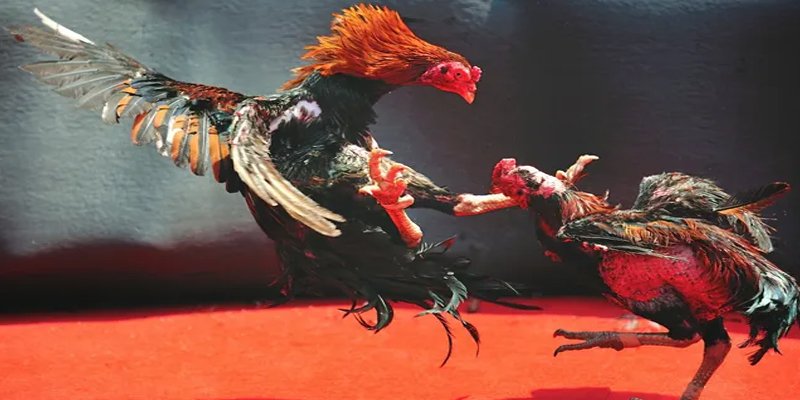 s66600 m đăng nhập nổ hũ số 1