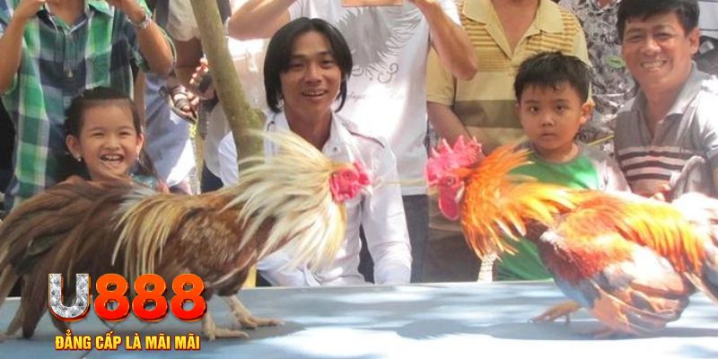 s66600 m mơ thấy nổ hũ đánh con gì