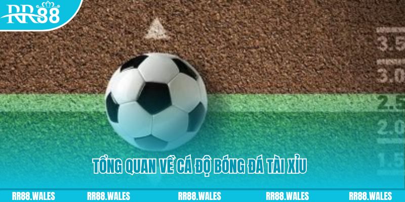 s66600 m JDB Điện Tử