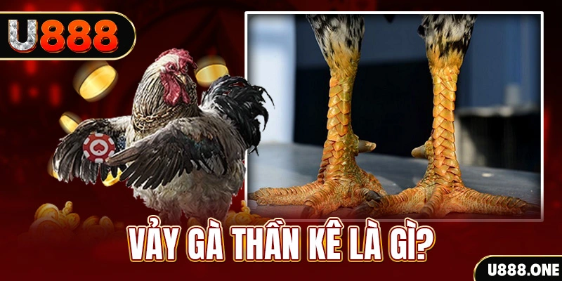 s66600 m xổ số miền bắc thứ tư hàng tuần