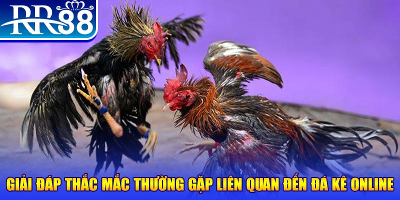 s66600 m đăng nhập phỏm tặng tiền
