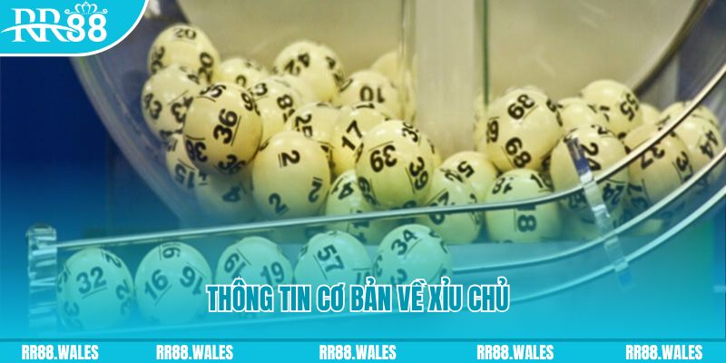 s66600 m baccarat long bảo là gì