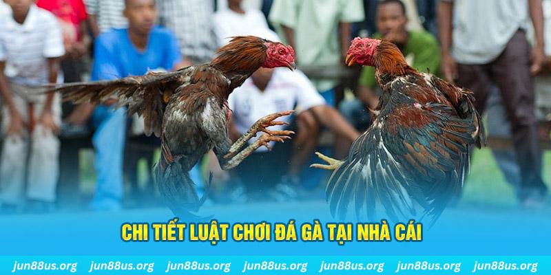 s66600 m đá gà campuchia