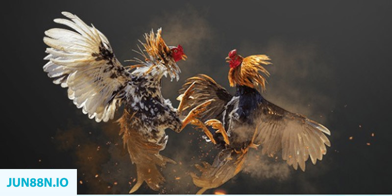 s66600 m đăng nhập sòng bạc miễn phí