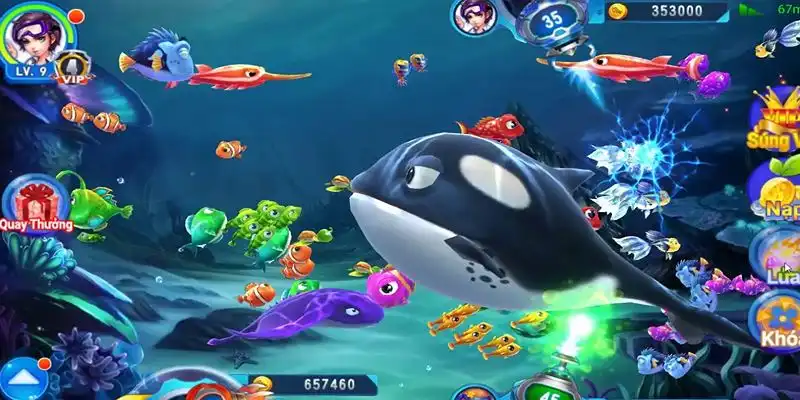 s66600 m truc tiep da ga