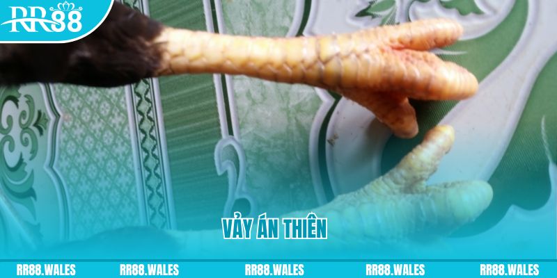 s66600 m who wants to be a millionaire slot