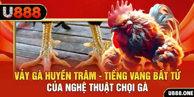s66600 m xổ số ba miền hôm nay