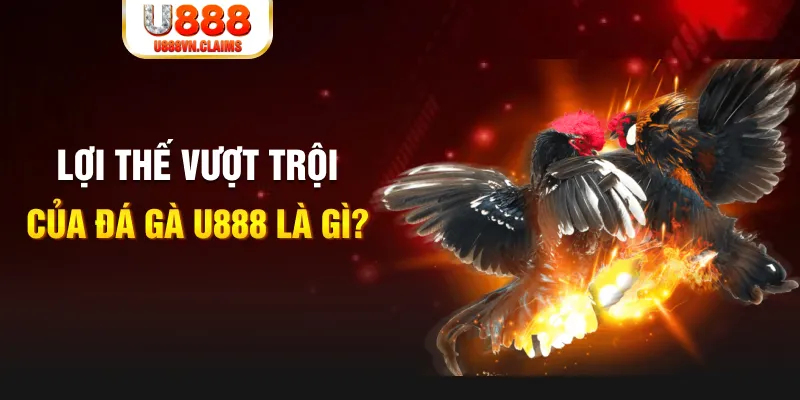 s66600 m 888 slot là gì